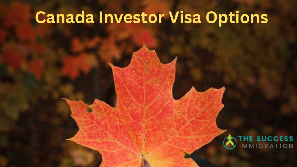 Canada Investment Visas